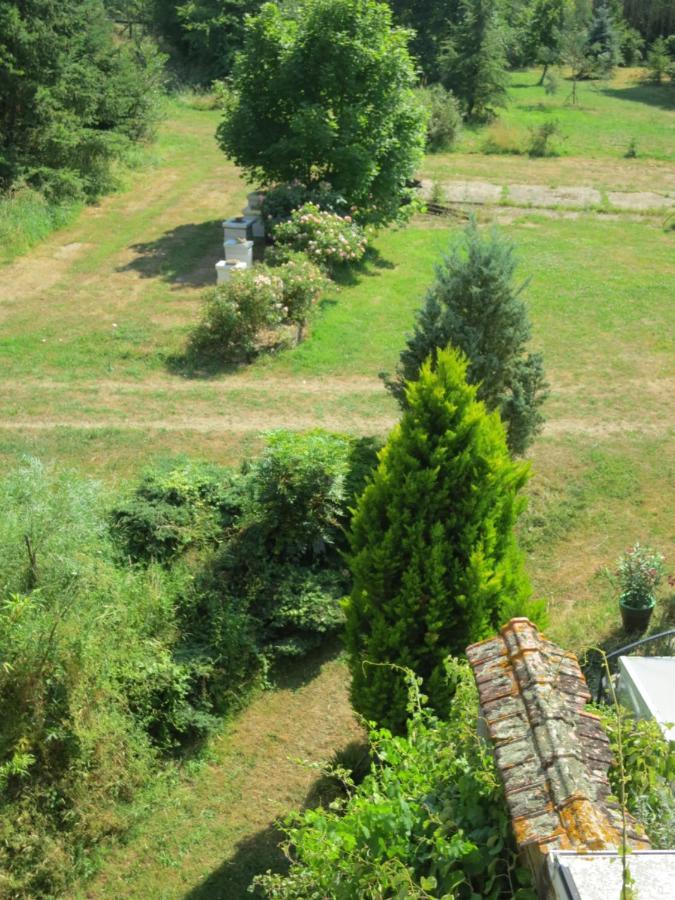 Chambres D'Hotes Du Moulin De La Chaussee Saint-Denis-d'Orques Kültér fotó